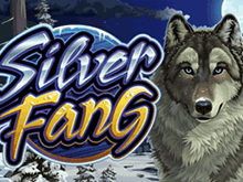 Игровой аппарат Silver Fang