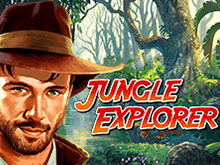 Игровой аппарат Jungle Explorer
