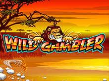 Игровой аппарат Wild Gambler