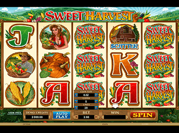 Sweet Harvest